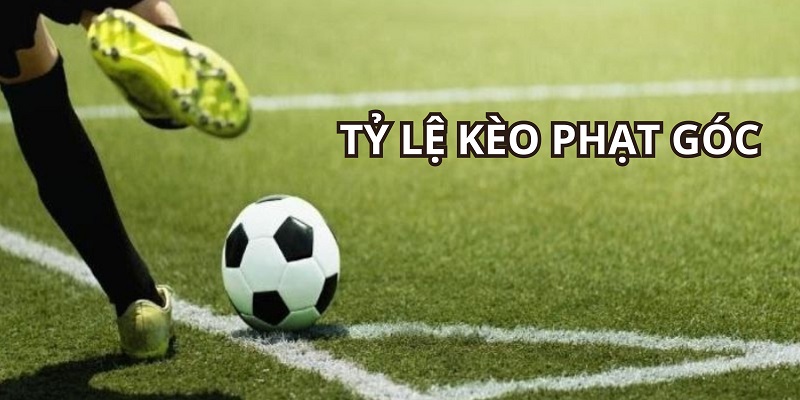 Hiểu rõ tỷ lệ kèo phạt góc mở ra những cơ hội cá cược hấp dẫn