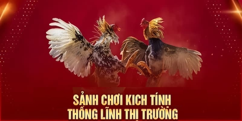 Các chiến thuật cá cược hiệu quả tại nhà cái RR88